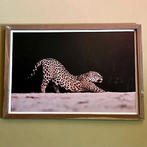 Casa Jaguar